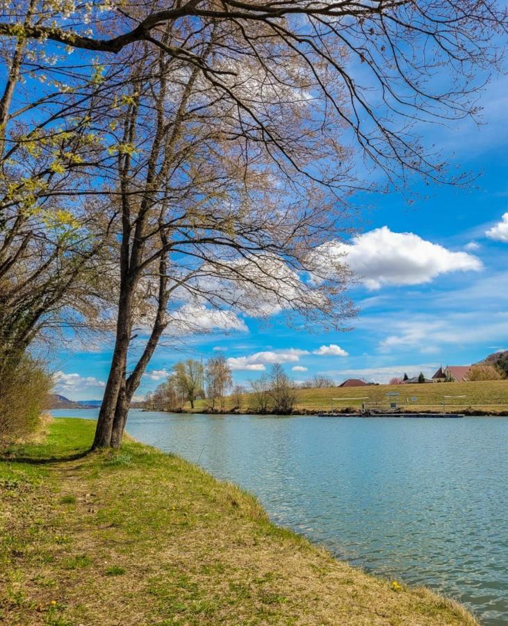 Apartment, 3375 Krummnussbaum An Der Donau Krumnussbaum エクステリア 写真